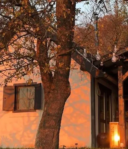 Design & Panorama Sauna 펜션 Varvolgy