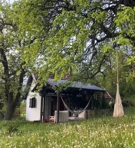 Design & Panorama Sauna *